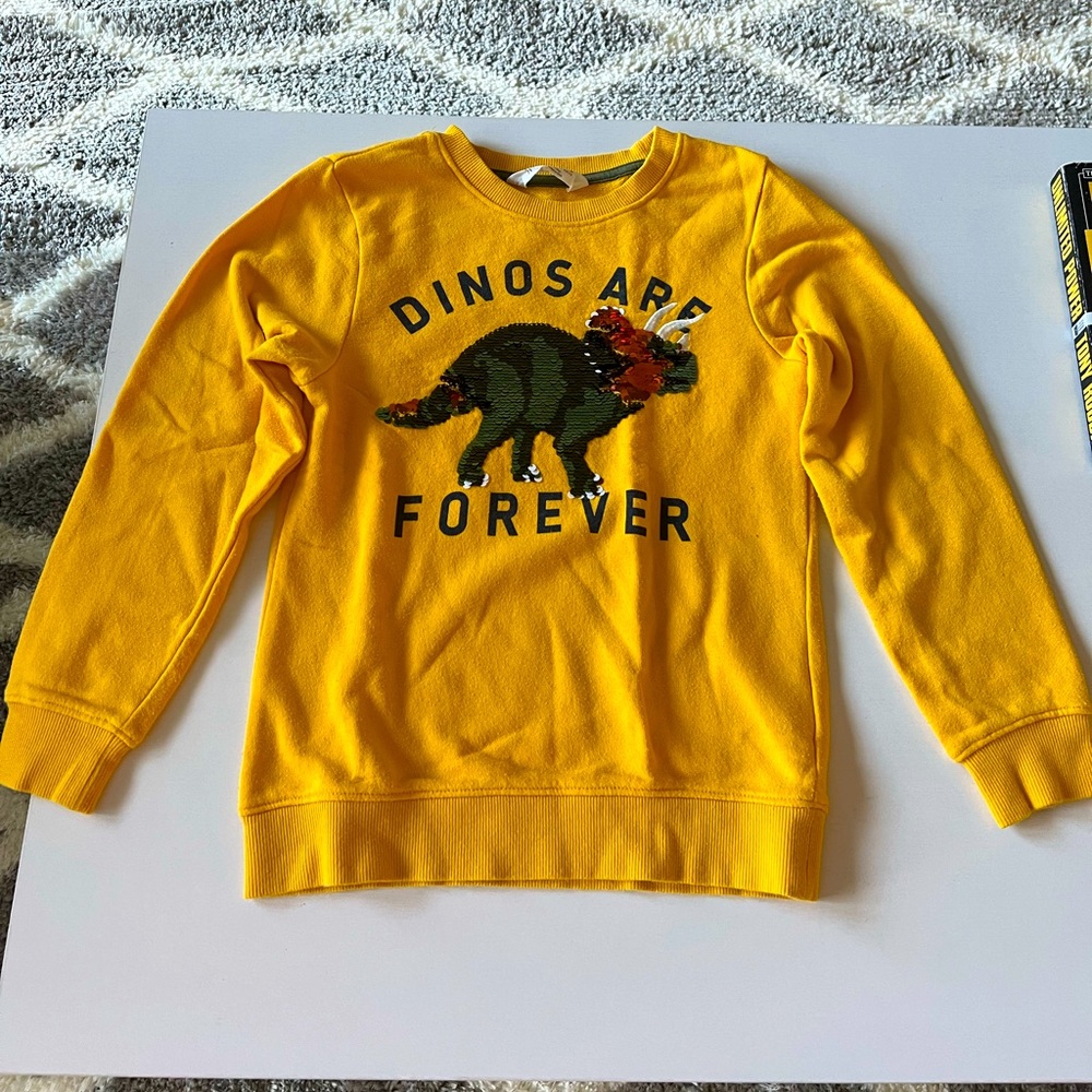 Dino sweatshirt for boys